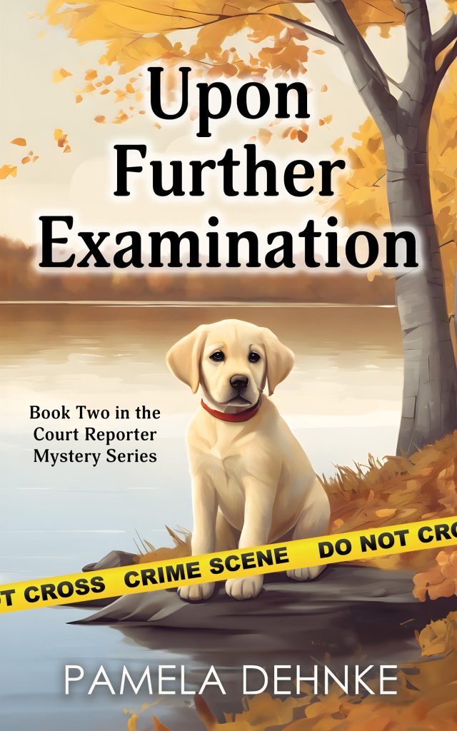 Upon Further Examination Book Cover.